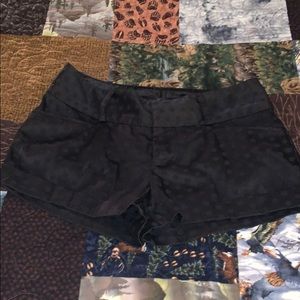 Maurices Black Satin PolkaDot Shorts